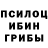 Псилоцибиновые грибы Psilocybe Christian Stafford