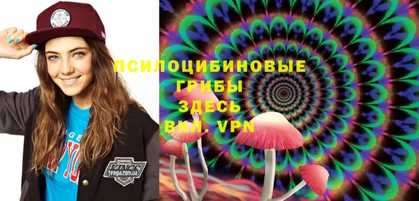 spice Алзамай