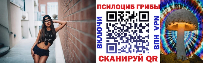 Галлюциногенные грибы мицелий  продажа наркотиков  блэк спрут ссылка  Ставрополь 